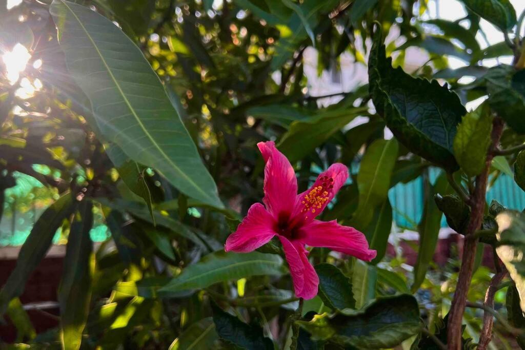 لونافالا Valecha Villa Entire 4Bhkbunglow With 5000 Sq Ft Garden المظهر الخارجي الصورة